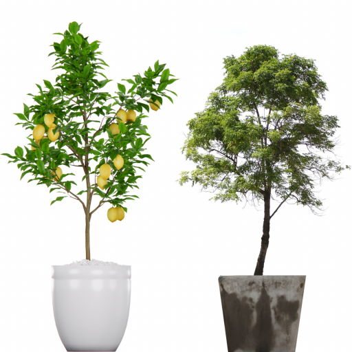 7 YAŞ SAKSILI AĞAÇLAR